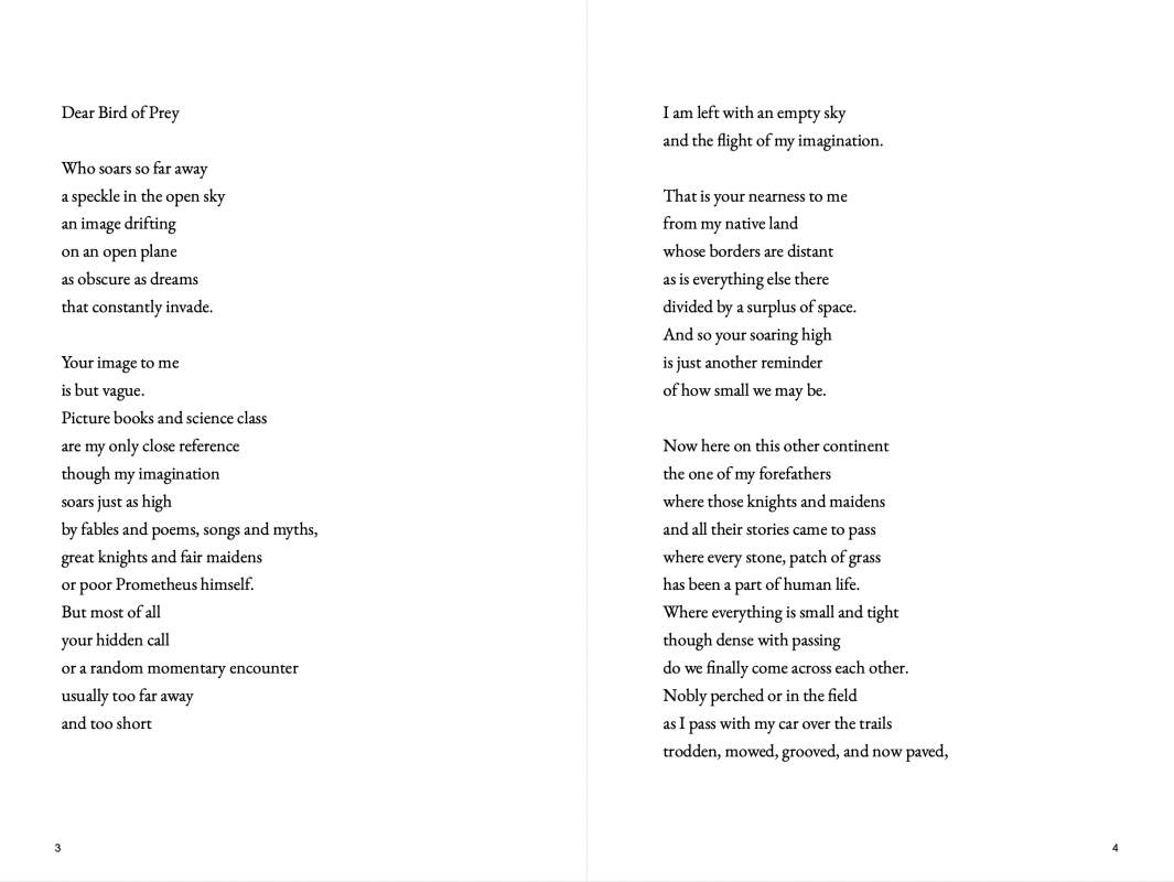 Along the Vistula page 6